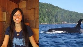 2014: A Year Of Highlights | 40BelowFruity