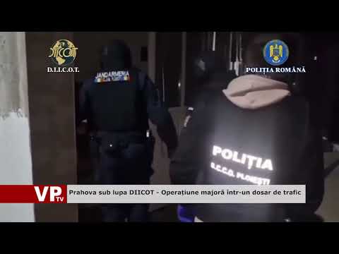 Prahova sub lupa DIICOT – Operațiune majoră într-un dosar de trafic