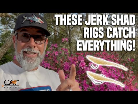 These Jerk Shad Rigs Catch Everything! | Flats Class YouTube