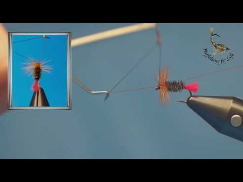 Red Tag Trockenfliege für Bindeanfänger