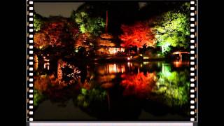 JIM HALL - You'd Be So Nice to Come Home To (CONCIERTO  1975)