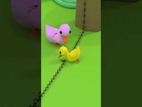 Kindness Behavior Of Baby Duck (Animation Memes) #animation #shots #memes