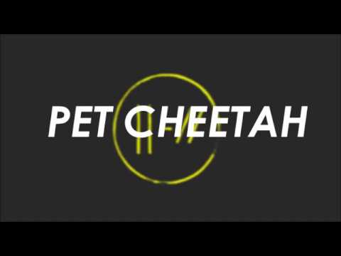 Twenty One Pilots - Pet Cheetah (traduzione)