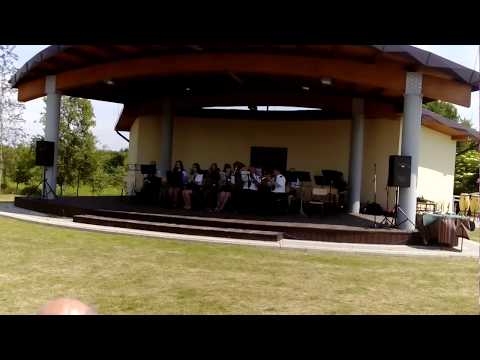 Orkiestra Dęta OSP Wojciechów- Marsz Tęsknota