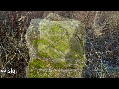 Cmentarz Żydowski. Solec n. Wisłą (mazowieckie).