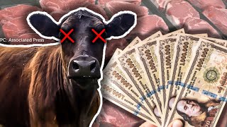 YOUR MEAT PROCESSING OPTIONS EXPLAINED. | USDA CUSTOM, STATE Meat Monopoly and Farming BEEF Butcher