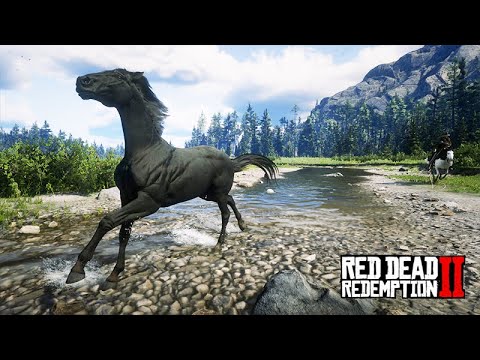 Lassoing the Black Horse and Meeting Mama Watson and Her 4 Sons - Red Dead Redemption 2
