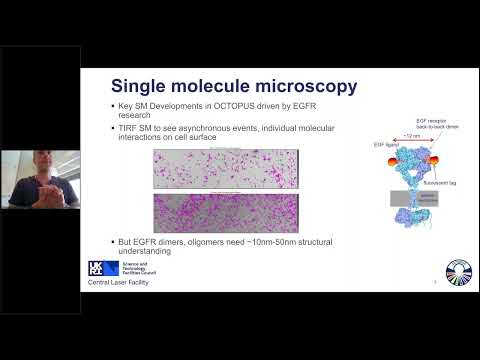 Automating FLImP Macromolecular Structure Fingerprints for Improved Cancer Therapy