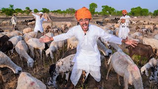 Living Desi Goat Man Life Challenge  Not Easy