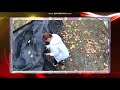 AFV Honorable Mentions Season 36 Episode 11