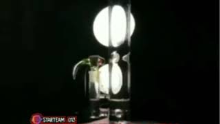 Download lagu Story wa sabu mp3 Download lagu Story wa sabu mp3