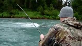 preview picture of video 'Kenai River King Salmon'