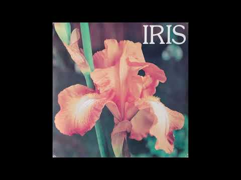 Gianni Marchetti - Perry Blue   (Solco 3)  -1978