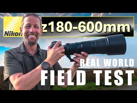 Nikkor Z 180–600mm Field Test - Real-World Impressions for Bird & Wildlife Photography