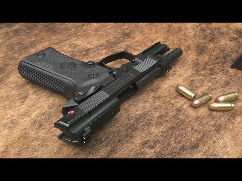 Beretta 80x Cheetah .380