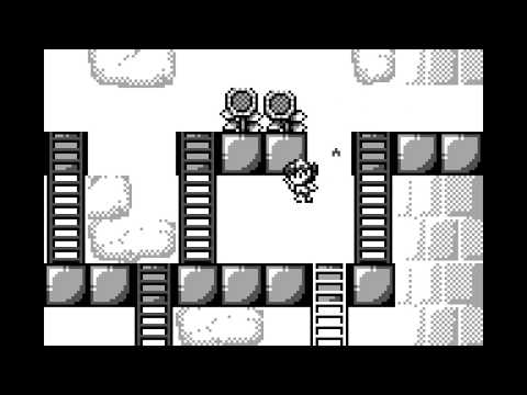 Rod Land Longplay (Game Boy) [60 FPS]