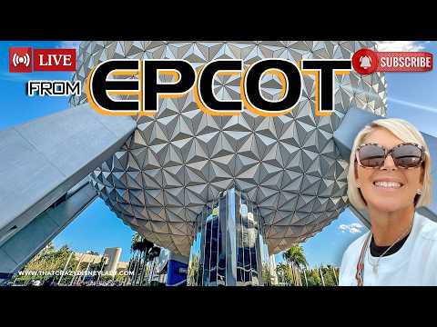 Live webcam of That Crazy Disney Lady