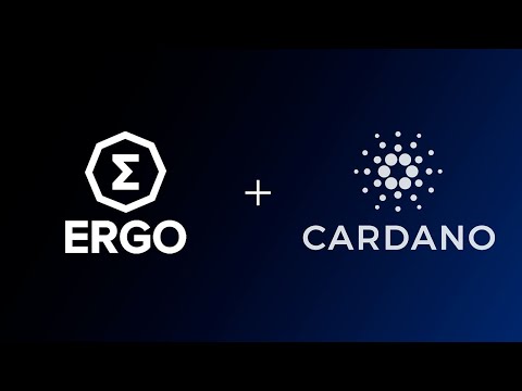 Links Between Ergo & Cardano | episode #04