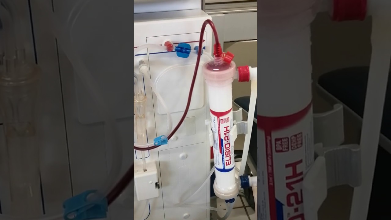 Jose Eduardo Vega Domínguez-2