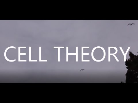 Cell Theory - Golgis Apparatus (Official Video)