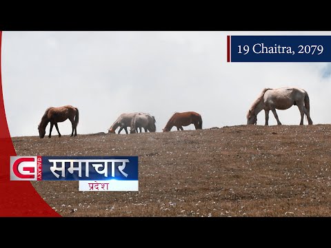 Galaxy Province News | 19 Chaitra, 2079