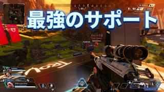 【Apex/ヴァンテージ】味方が気持ちよくキルできるようにします🐤