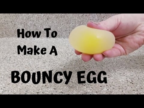 How to Make A Bouncy Egg!