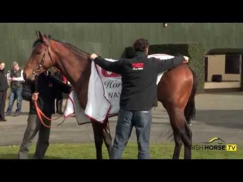 GAIN Horse Feeds sponsor the Railway Stakes