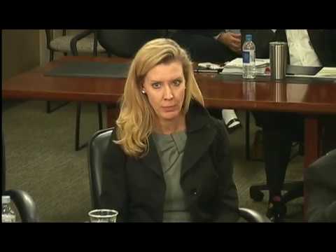 Work 03/21/17 Part 1 Session - Norfolk City Council