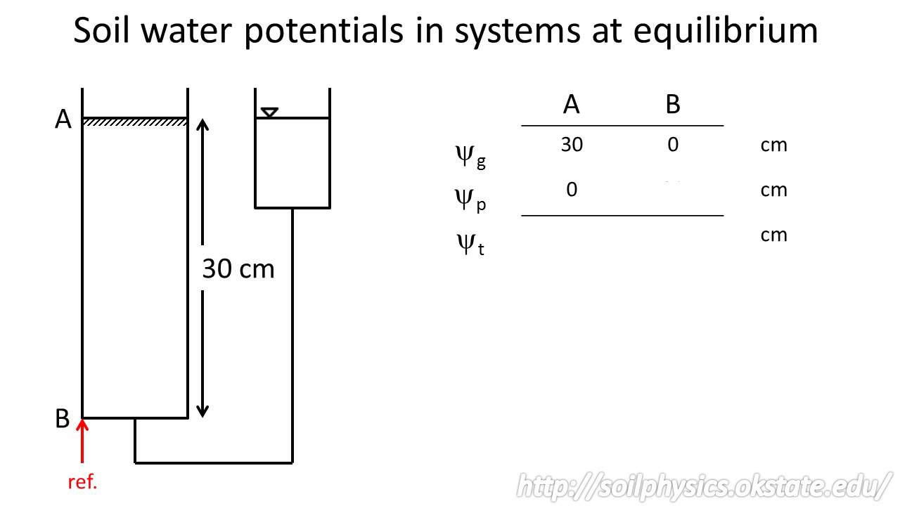 Soil water potential in systems at equilibrium