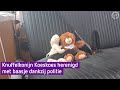 Knuffelkonijn Koeskoes wordt herenigd met Midas
