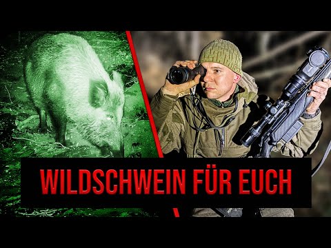Wild boar alert! One boar rarely comes alone - Nighthunter | Niklas on fire