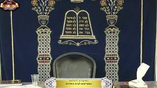 בית המדרש "תורת דוד" ¤ שידור חי ¤ כ"ז תמוז תשפ"ה (23.7.2025) (מוסדות תורת דוד) - התמונה מוצגת ישירות מתוך אתר האינטרנט יוטיוב. זכויות היוצרים בתמונה שייכות ליוצרה. קישור קרדיט למקור התוכן נמצא בתוך דף הסרטון בית המדרש "תורת דוד" ¤ שידור חי ¤ כ"ז תמוז תשפ"ה (23.7.2025) (מוסדות תורת דוד) - התמונה מוצגת ישירות מתוך אתר האינטרנט יוטיוב. זכויות היוצרים בתמונה שייכות ליוצרה. קישור קרדיט למקור התוכן נמצא בתוך דף הסרטון