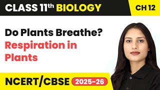Do Plants Breathe? - Respiration in Plants | Class 11 Biology Chapter 12 | CBSE 2024-25