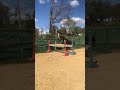 ponette,5 ans