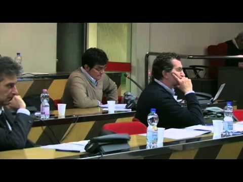 Consiglio comunale del 17 febbraio 2014