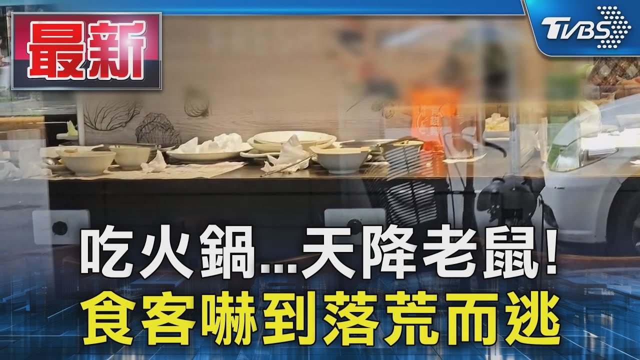吃火鍋「天降巨鼠」整桌嚇跑　錢都急道歉：暫停營業2天