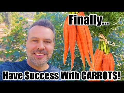 , title : 'How to Grow Carrots and Beets From Seed... and Have Success!'