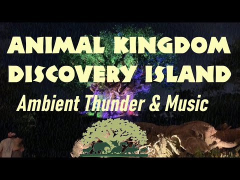 Animal Kingdom Discovery Island Ambient Music and Thunder