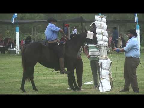 LA LLUVIA NO PARO A LOS JINETES  POTROS Y FILMACION LA CAUTIVA 08-03-2026