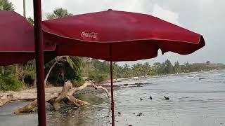 Sanyang Beach offers Surf Life! #Africa #gambia #surfers
