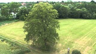preview picture of video 'Autonomous hexakopter waypoint flight around a lime tree'