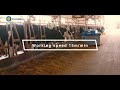 Feed Pusher Robot