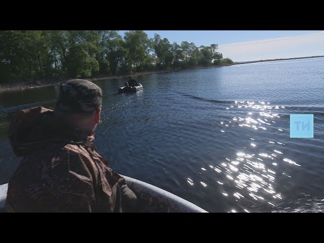 Операция «Нерест» в Татарстане: 34 уголовных дела за браконьерство