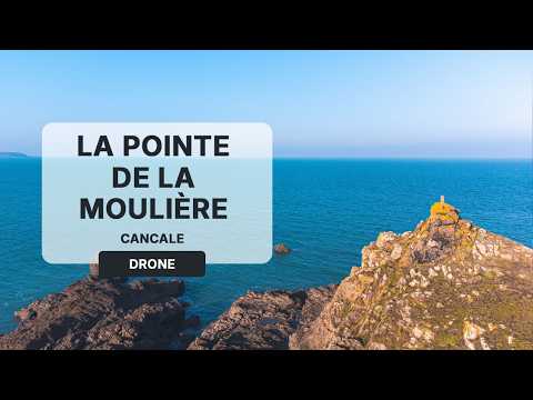 Miniature vidéo