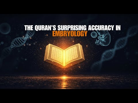 Embryology in the Quran: A Scientific Perspective on Human Development | The transformation | mikzav