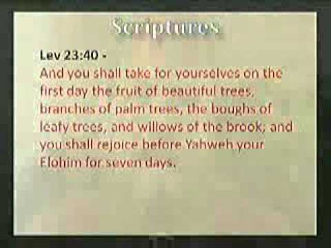 EliYah - What Will the Kingdom Be Like - 07-31-2010