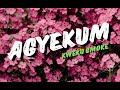 Kweku Smoke Agyekum lyrics video