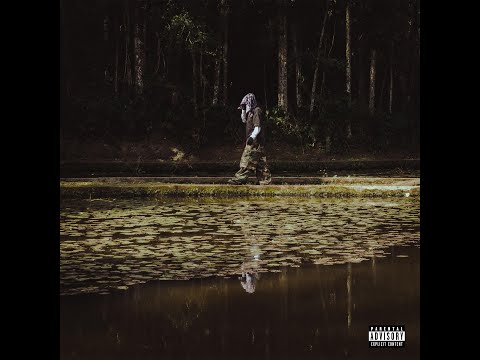 Stef - UM BRINDE [Visualizer]