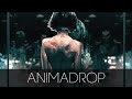 Animadrop - Nobody Like Me